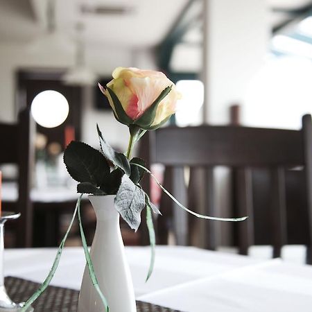 City-Hotel Friesoythe Dış mekan fotoğraf